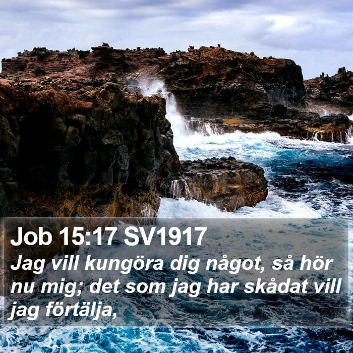 Job 15:17 SV1917 Bible Study