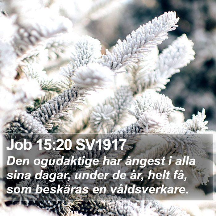 Job 15:20 SV1917 Bible Study