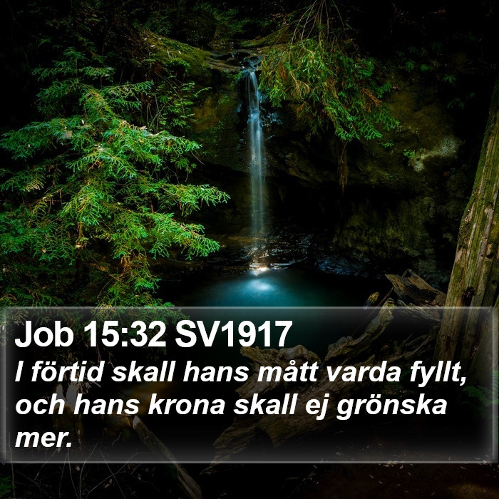 Job 15:32 SV1917 Bible Study