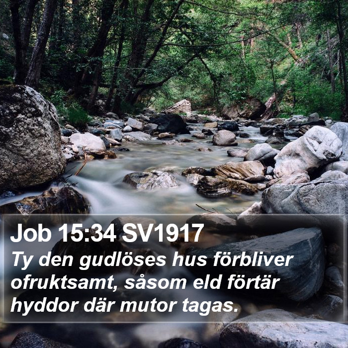 Job 15:34 SV1917 Bible Study