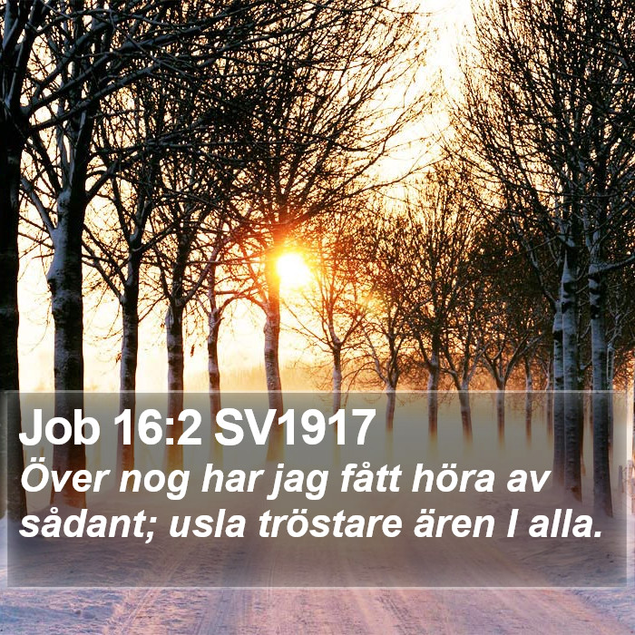 Job 16:2 SV1917 Bible Study