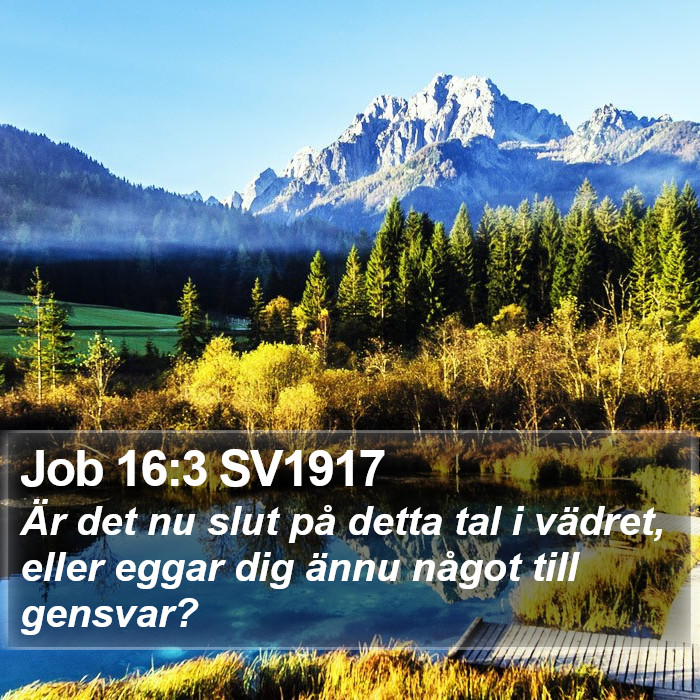 Job 16:3 SV1917 Bible Study