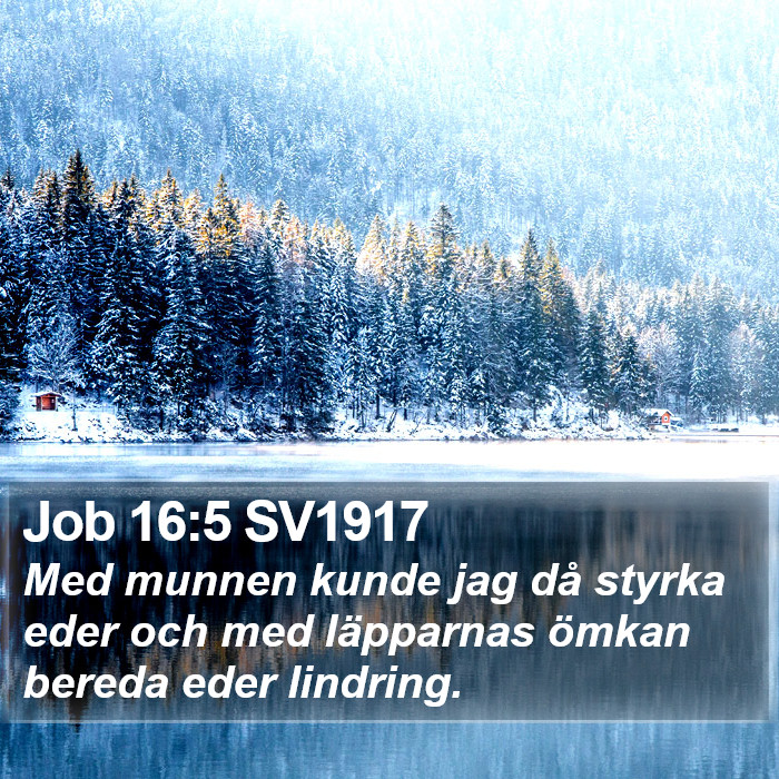 Job 16:5 SV1917 Bible Study