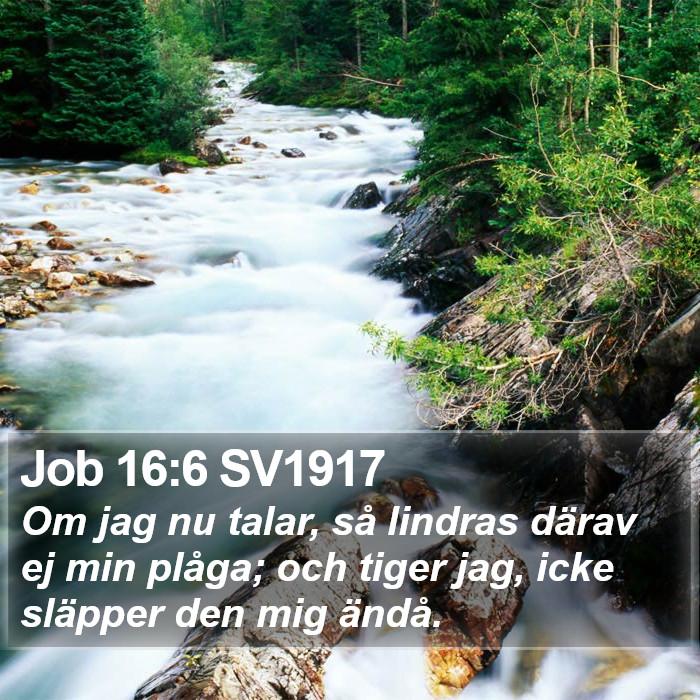 Job 16:6 SV1917 Bible Study