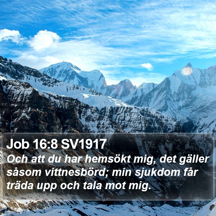 Job 16:8 SV1917 Bible Study