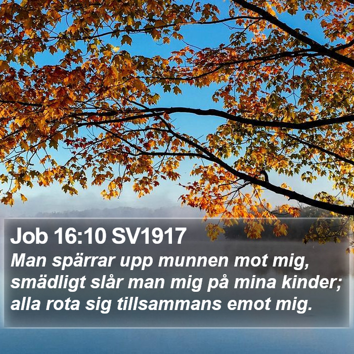 Job 16:10 SV1917 Bible Study