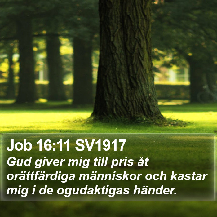 Job 16:11 SV1917 Bible Study