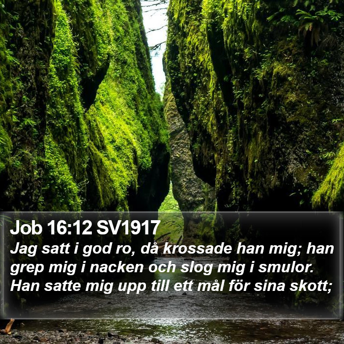 Job 16:12 SV1917 Bible Study