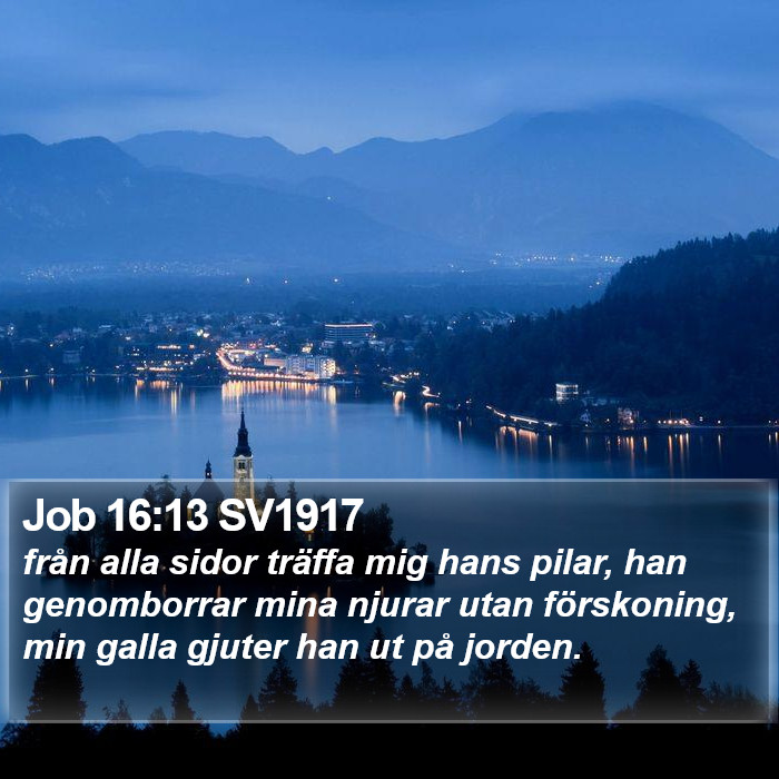 Job 16:13 SV1917 Bible Study