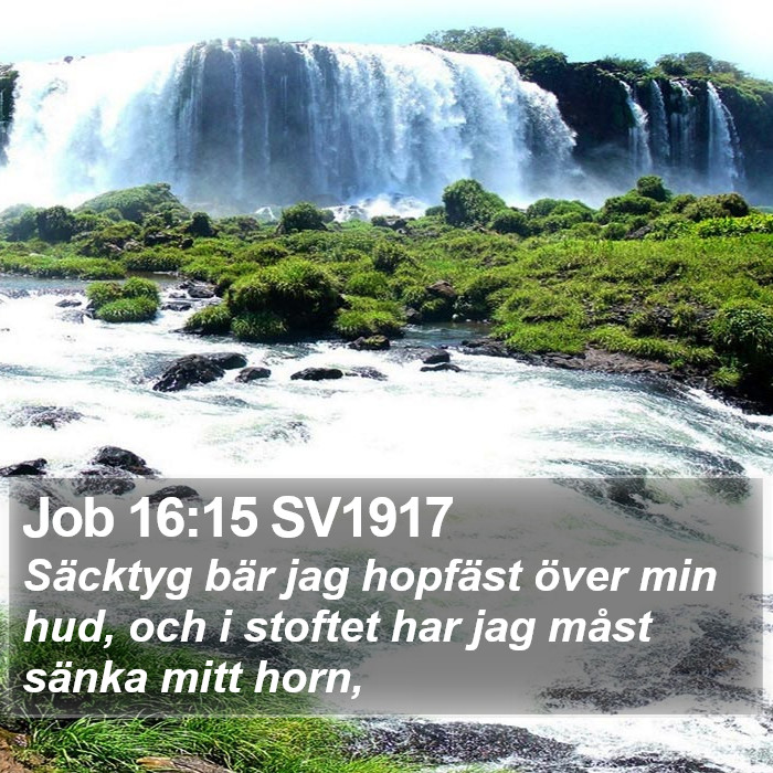 Job 16:15 SV1917 Bible Study