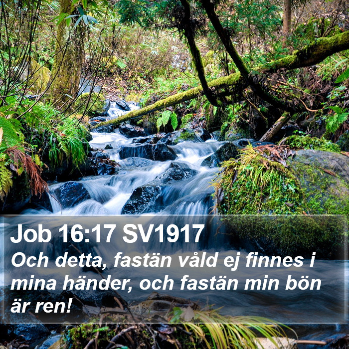 Job 16:17 SV1917 Bible Study