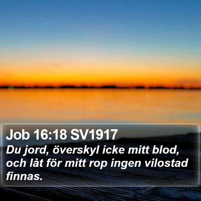 Job 16:18 SV1917 Bible Study