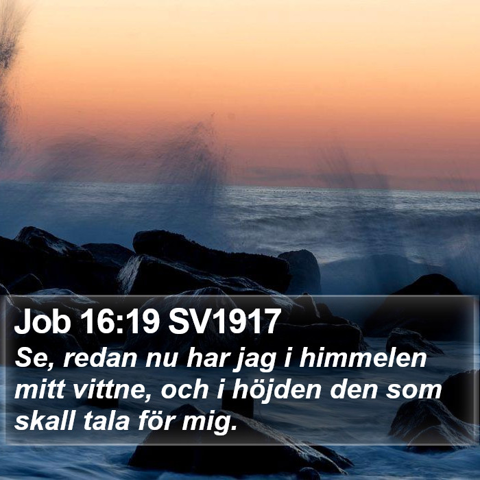 Job 16:19 SV1917 Bible Study