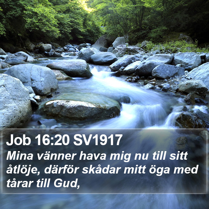 Job 16:20 SV1917 Bible Study