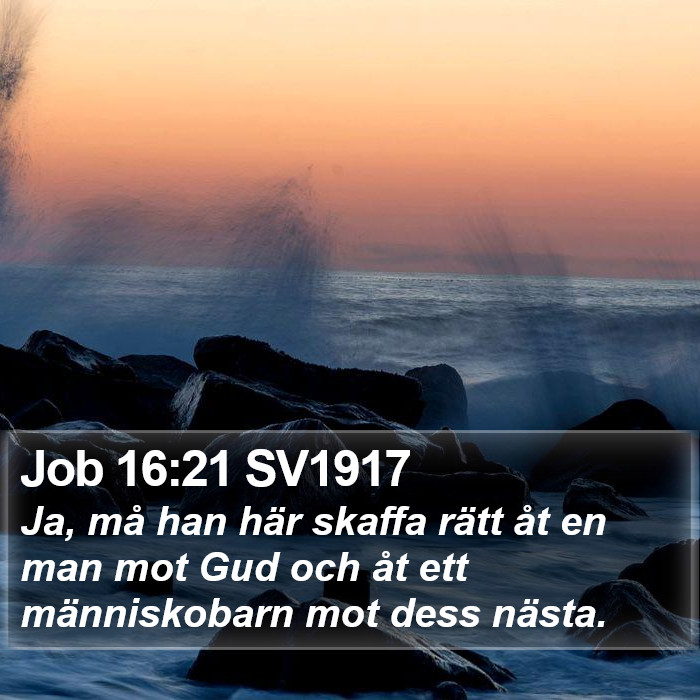 Job 16:21 SV1917 Bible Study