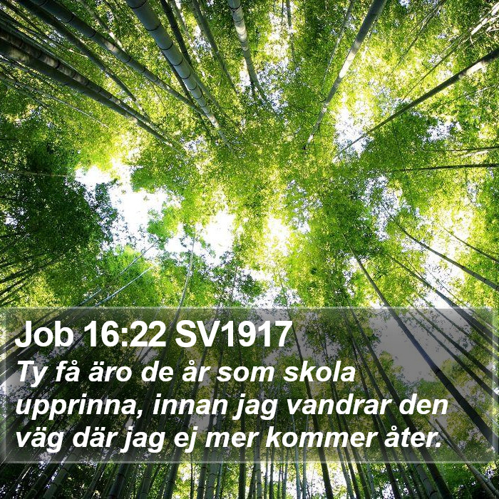 Job 16:22 SV1917 Bible Study