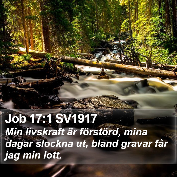 Job 17:1 SV1917 Bible Study