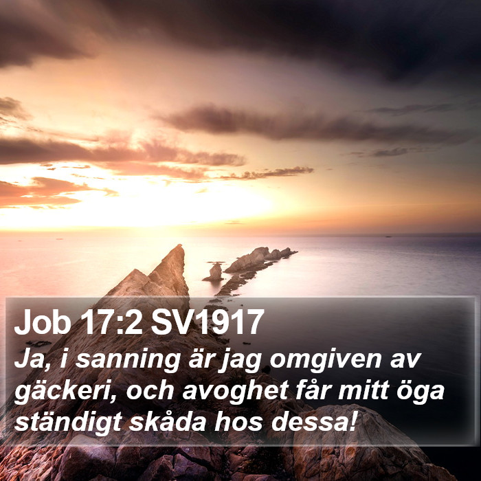 Job 17:2 SV1917 Bible Study