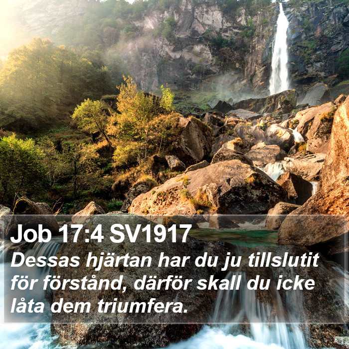 Job 17:4 SV1917 Bible Study