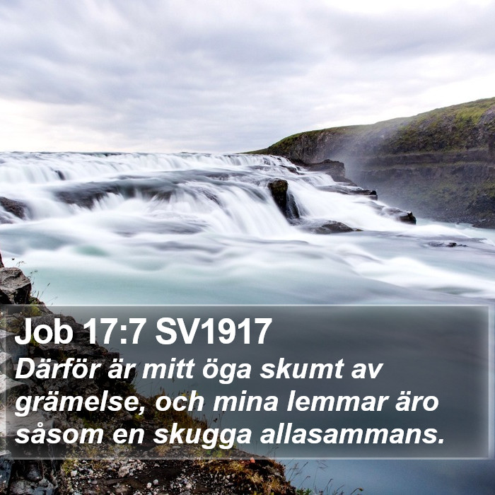 Job 17:7 SV1917 Bible Study