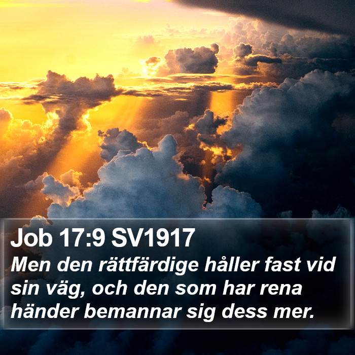 Job 17:9 SV1917 Bible Study