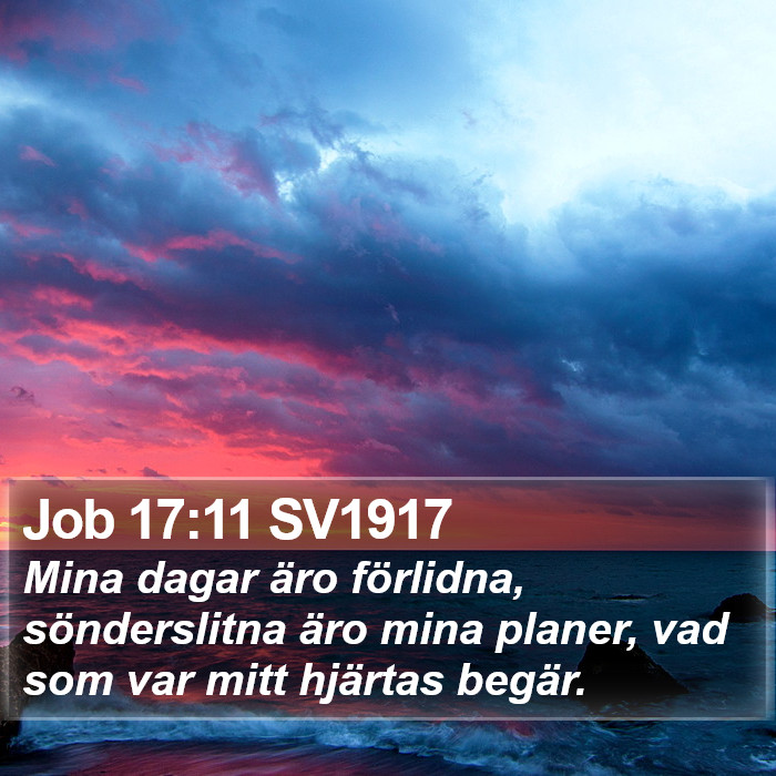 Job 17:11 SV1917 Bible Study