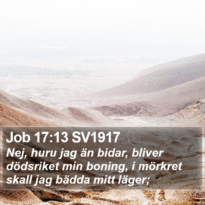 Job 17:13 SV1917 Bible Study