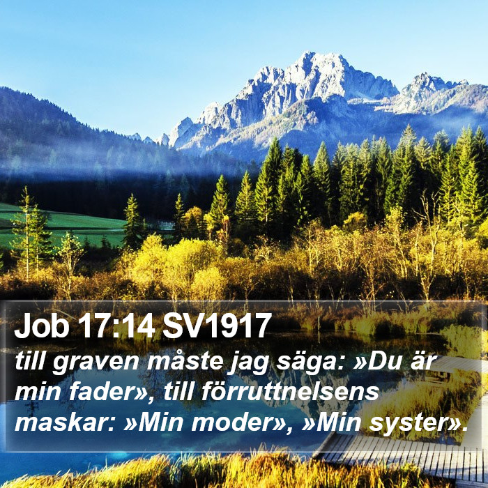 Job 17:14 SV1917 Bible Study