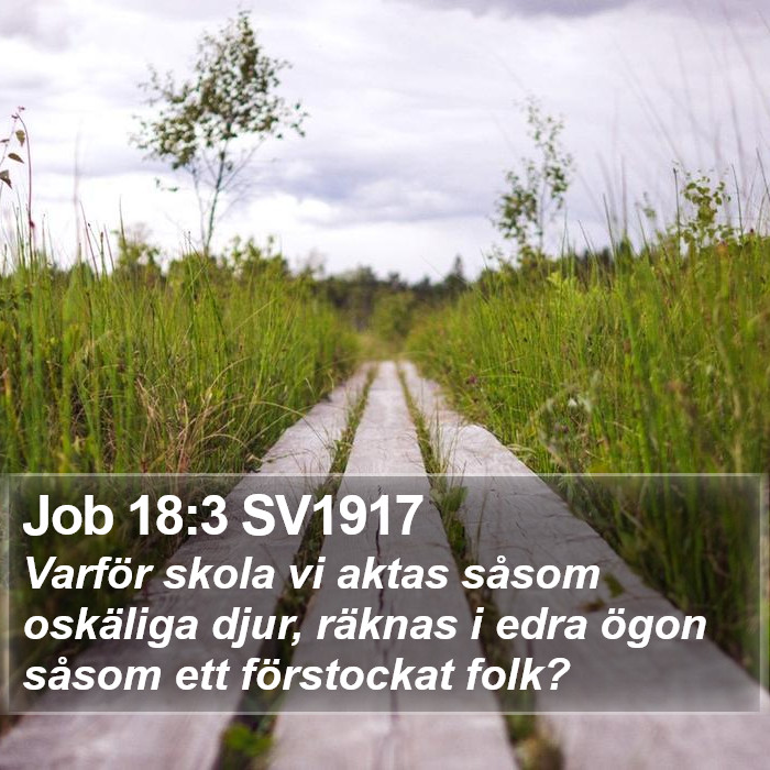 Job 18:3 SV1917 Bible Study