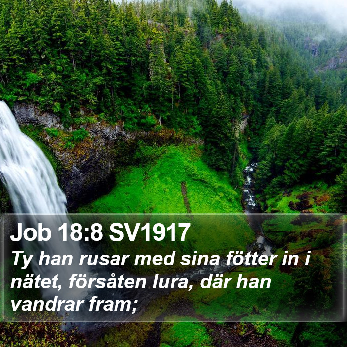 Job 18:8 SV1917 Bible Study