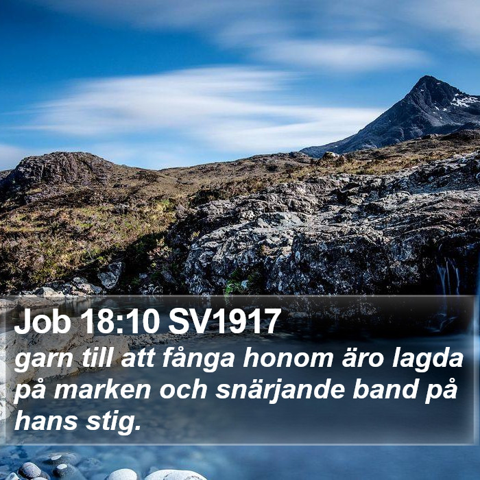 Job 18:10 SV1917 Bible Study