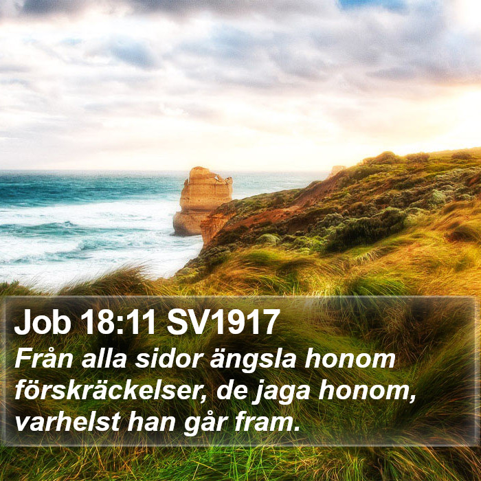 Job 18:11 SV1917 Bible Study