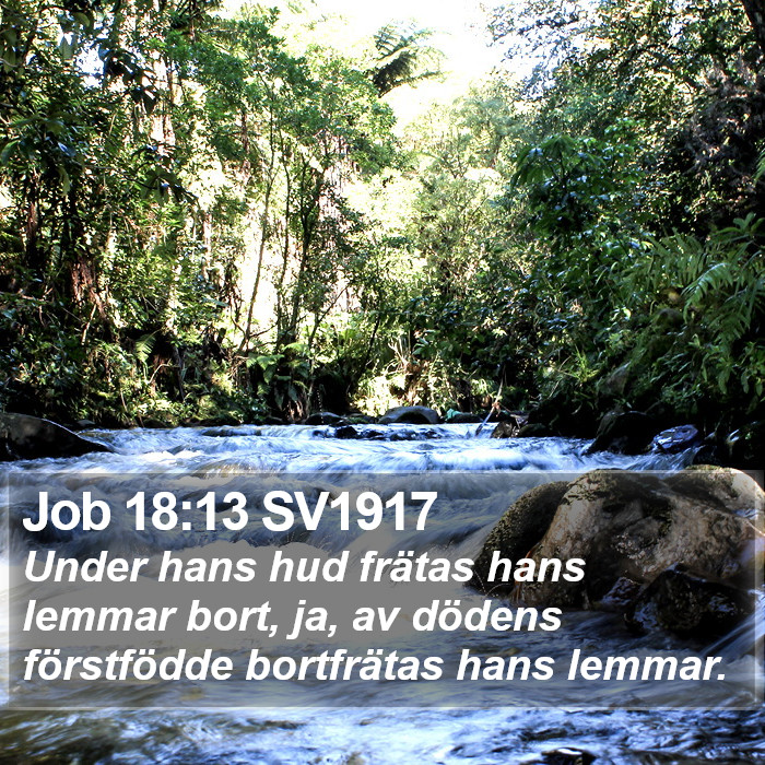 Job 18:13 SV1917 Bible Study