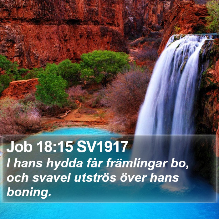 Job 18:15 SV1917 Bible Study