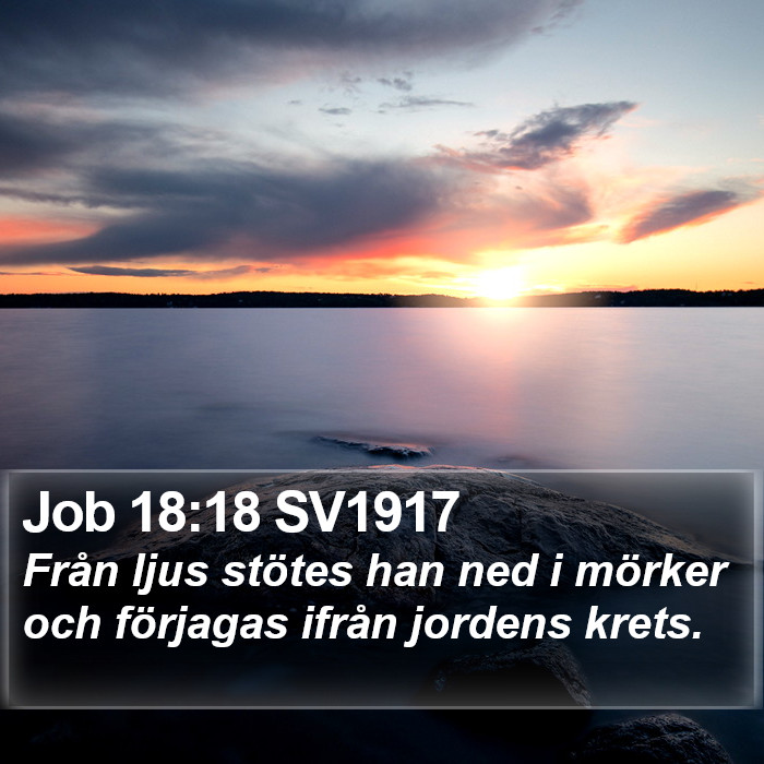 Job 18:18 SV1917 Bible Study