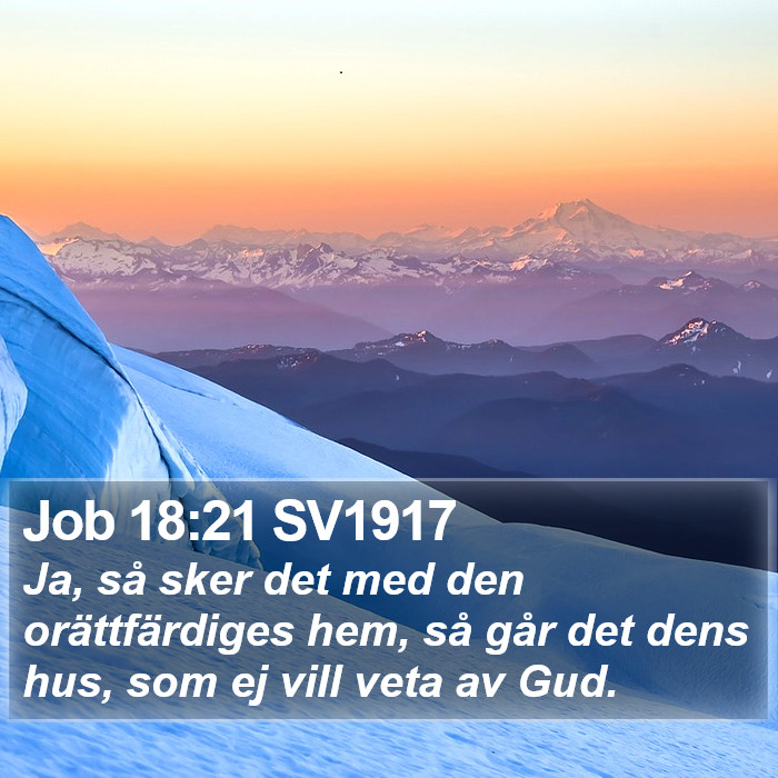 Job 18:21 SV1917 Bible Study