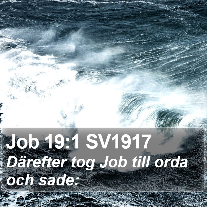 Job 19:1 SV1917 Bible Study