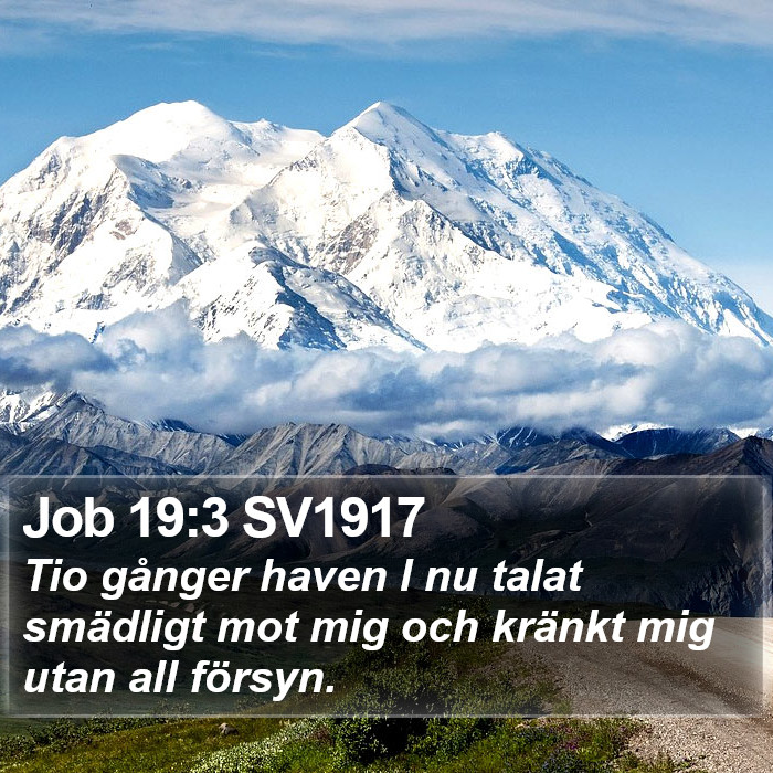 Job 19:3 SV1917 Bible Study