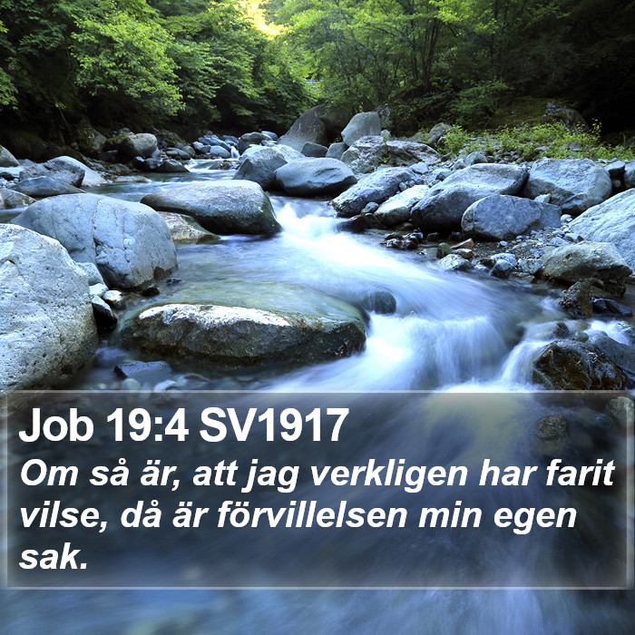 Job 19:4 SV1917 Bible Study