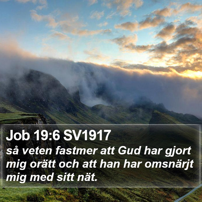 Job 19:6 SV1917 Bible Study