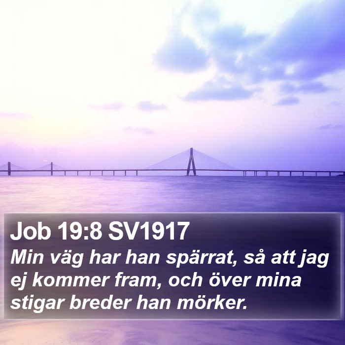 Job 19:8 SV1917 Bible Study