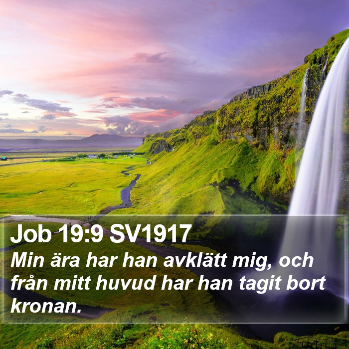 Job 19:9 SV1917 Bible Study