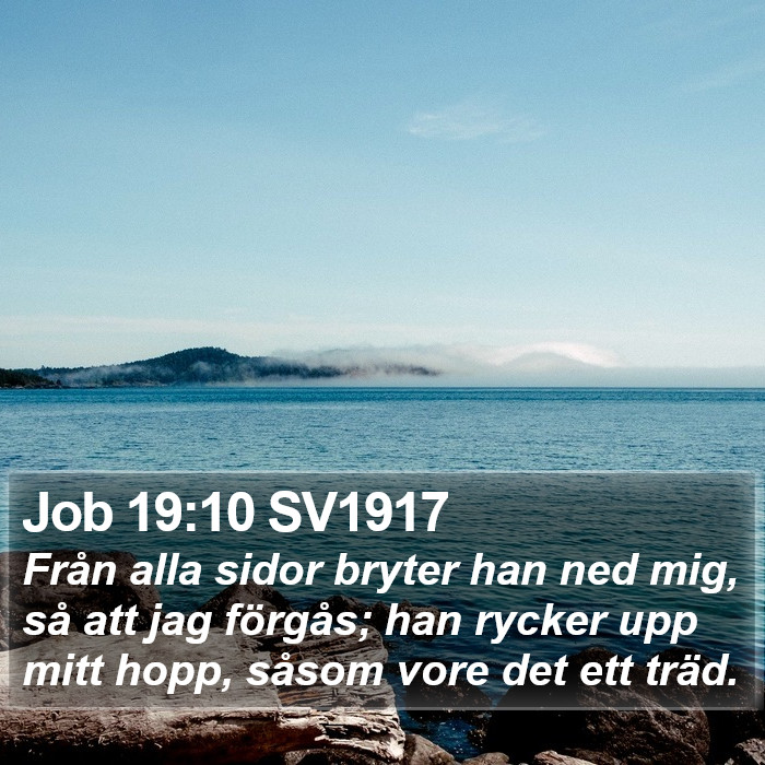 Job 19:10 SV1917 Bible Study