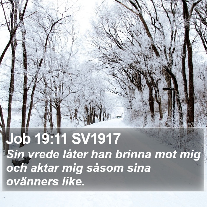 Job 19:11 SV1917 Bible Study