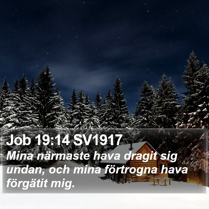 Job 19:14 SV1917 Bible Study