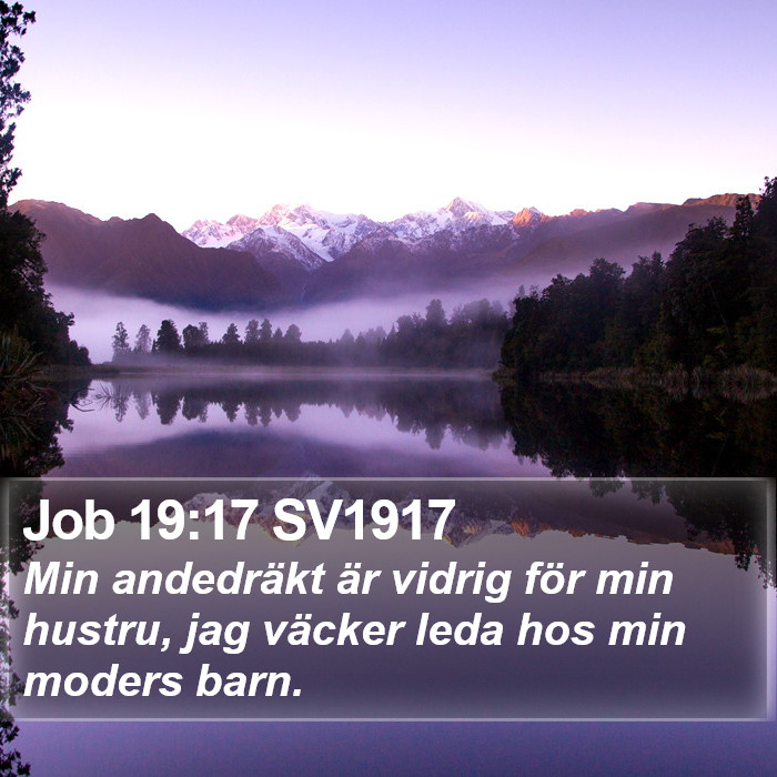 Job 19:17 SV1917 Bible Study