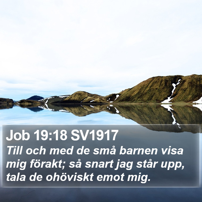 Job 19:18 SV1917 Bible Study