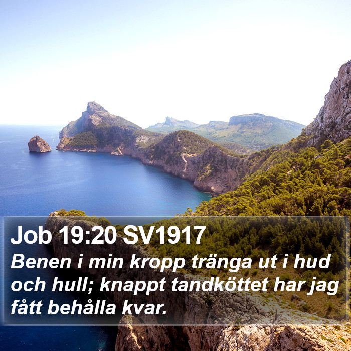 Job 19:20 SV1917 Bible Study