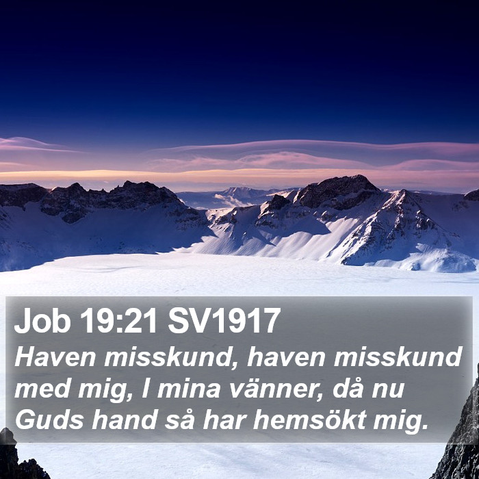 Job 19:21 SV1917 Bible Study