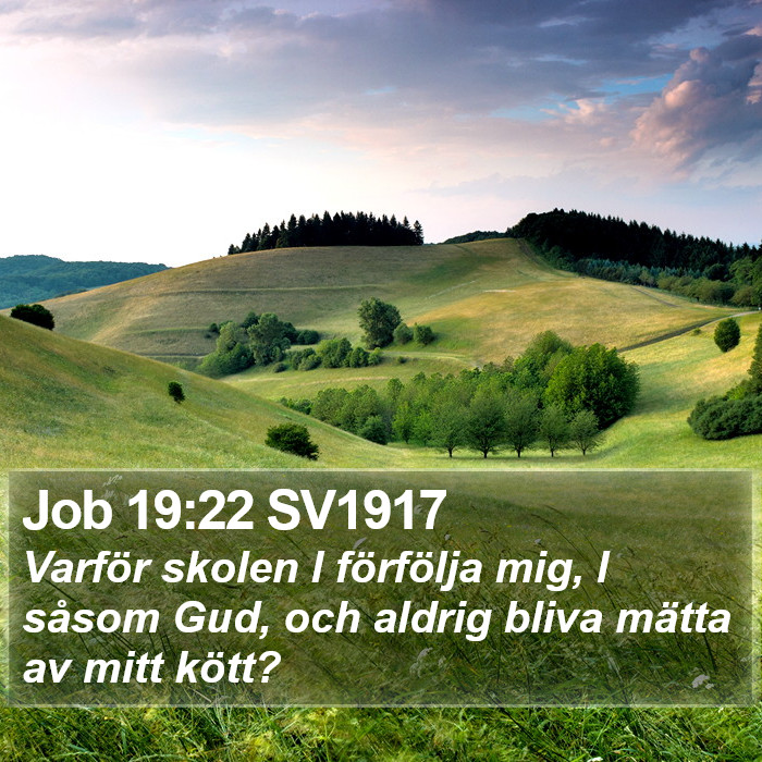 Job 19:22 SV1917 Bible Study